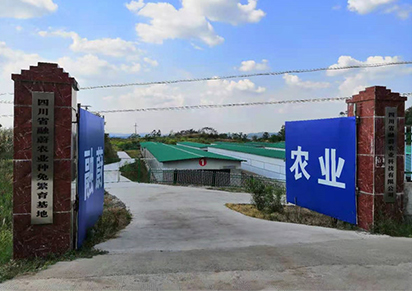 兔子养殖公司