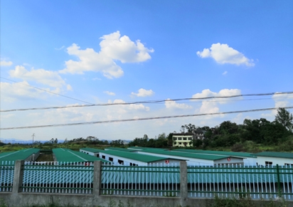 2021年兔子养殖赚钱吗?养兔子本钱费、盈利及市场远景剖析